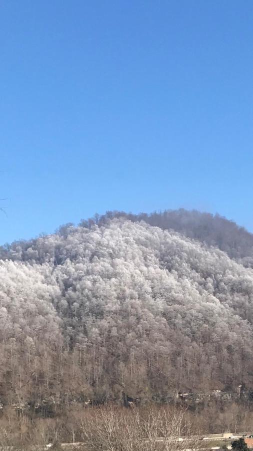 Pine Mountain Inn Pineville Esterno foto