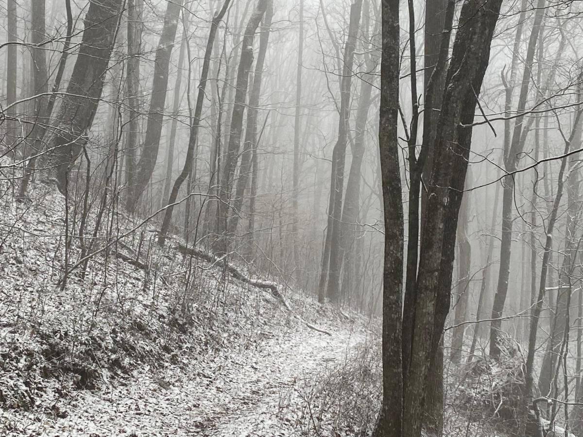 Pine Mountain Inn Pineville Esterno foto